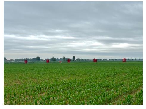 由8到2，從一粒種子的迭代周期看中原農(nóng)谷的創(chuàng)新速度丨新時(shí)代中部崛起看河南