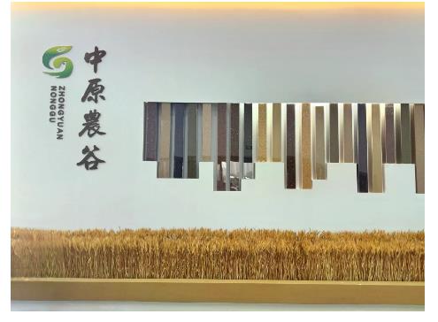 由8到2，從一粒種子的迭代周期看中原農(nóng)谷的創(chuàng)新速度丨新時(shí)代中部崛起看河南