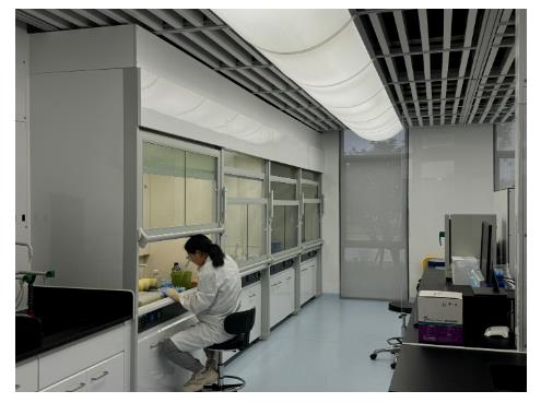 由8到2，從一粒種子的迭代周期看中原農(nóng)谷的創(chuàng)新速度丨新時(shí)代中部崛起看河南