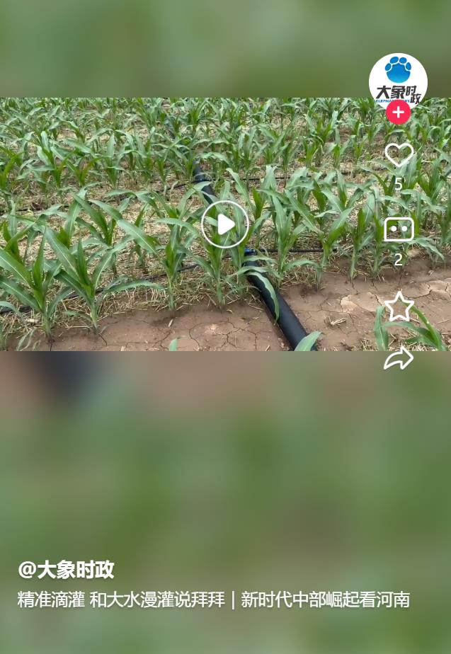 精準滴灌 和大水漫灌說拜拜｜新時代中部崛起看河南