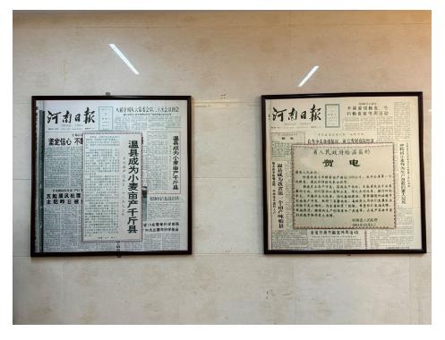 從舌尖上的“一甜一咸”看溫縣食品產(chǎn)業(yè)鏈發(fā)展丨新時代中部崛起看河南