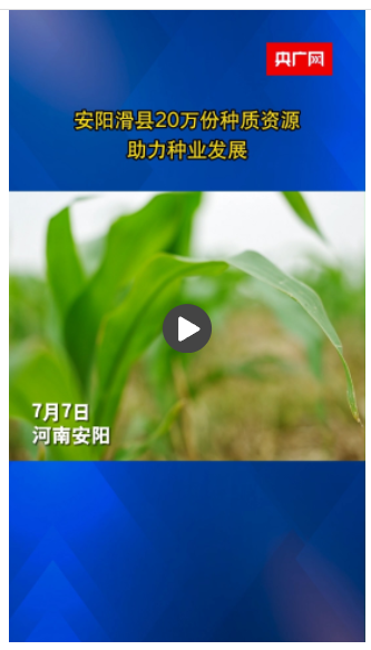安陽滑縣20萬份種質(zhì)資源助力種業(yè)發(fā)展