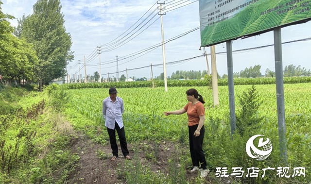 暴雨過后如何防范農田內澇？農業(yè)專家支招