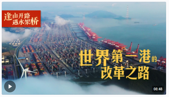 逢山開路 遇水架橋丨世界第一港的改革之路