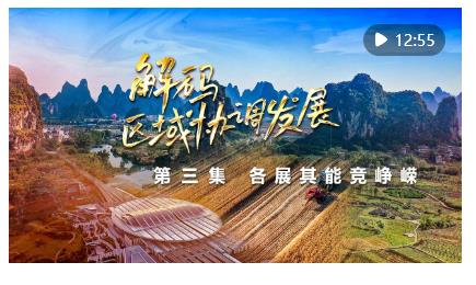 四集政論片《解碼區(qū)域協(xié)調(diào)發(fā)展》第三集《各展其能競崢嶸》