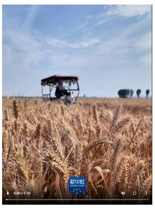 央媒觀豫│一眼心動的中國：此間是中原