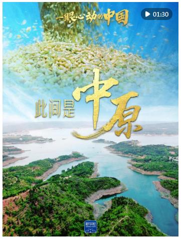 一眼心動(dòng)的中國(guó)丨此間是中原