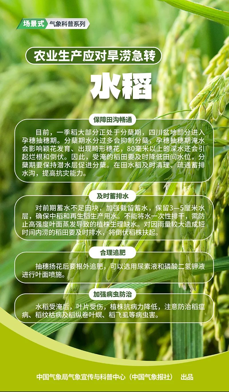 農業(yè)遭遇旱澇急轉，這些方法來救場！