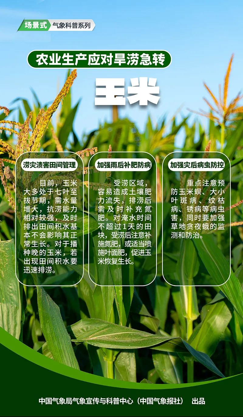 農業(yè)遭遇旱澇急轉，這些方法來救場！