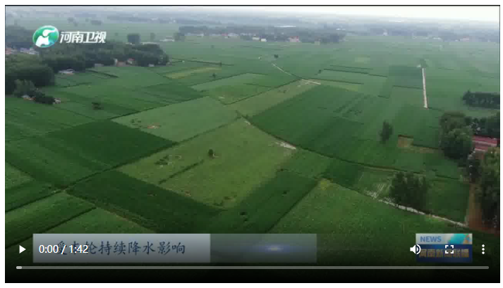 河南發(fā)布農(nóng)田漬澇災(zāi)害高風(fēng)險(xiǎn)預(yù)警 農(nóng)技專家分赴各地指導(dǎo)田間管理丨防汛在一線
