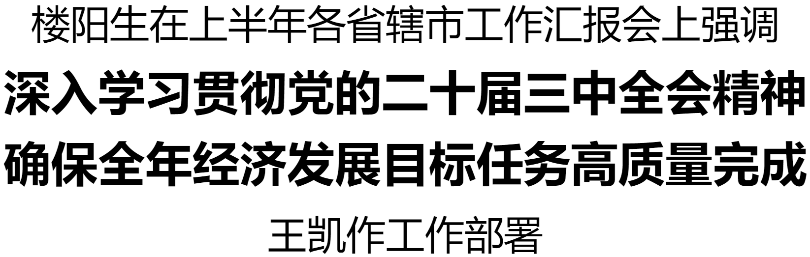 樓陽(yáng)生主持召開(kāi)上半年各省轄市工作匯報(bào)會(huì)