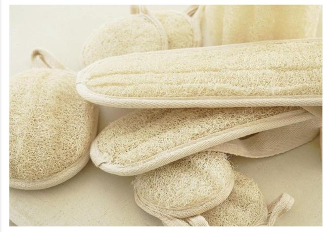 小絲瓜出國門 闖出鄉(xiāng)村振興新“絲”路