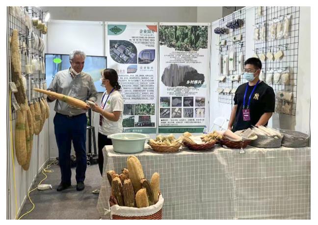 小絲瓜出國門 闖出鄉(xiāng)村振興新“絲”路