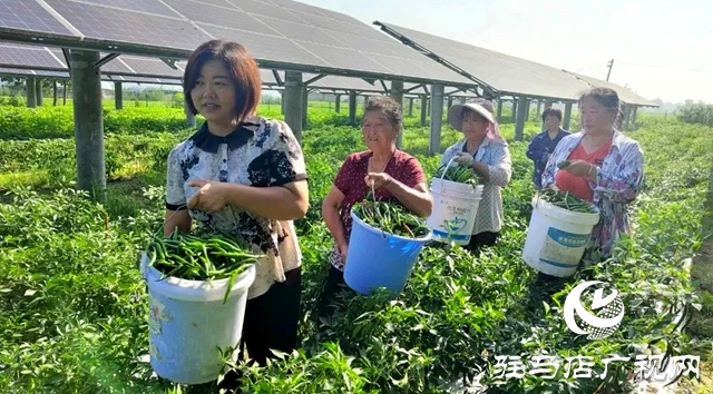 正陽縣永興鎮(zhèn)：發(fā)揮黨建引領(lǐng)作用 全面促進(jìn)鄉(xiāng)村振興