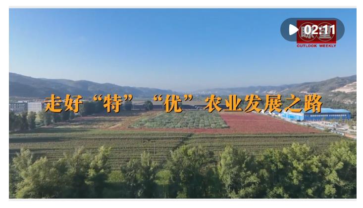 瞭望·治國理政紀(jì)事｜走好“特”“優(yōu)”農(nóng)業(yè)發(fā)展之路