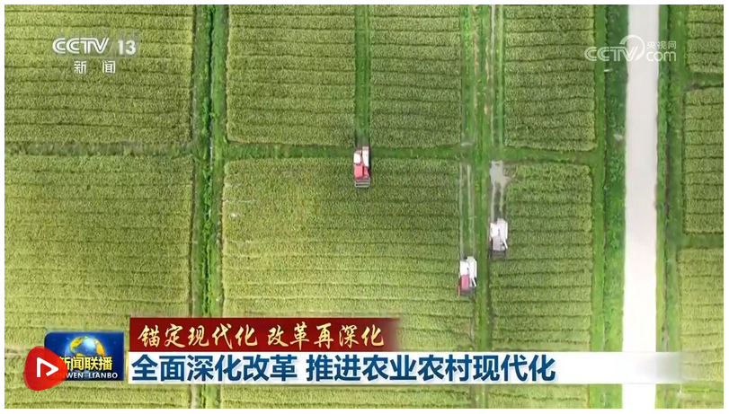 【錨定現(xiàn)代化 改革再深化】全面深化改革 推進(jìn)農(nóng)業(yè)農(nóng)村現(xiàn)代化 