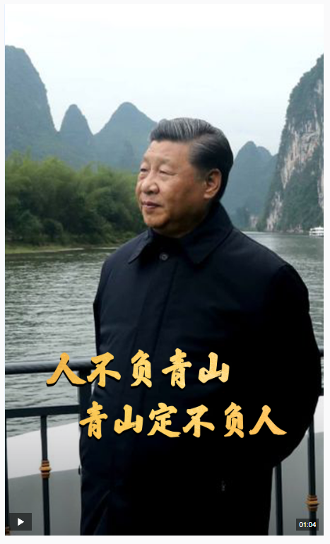 時(shí)政微視頻丨青山就是美麗，藍(lán)天也是幸福