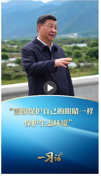 一習話·美麗中國丨“要像保護自己的眼睛一樣保護生態(tài)環(huán)境”