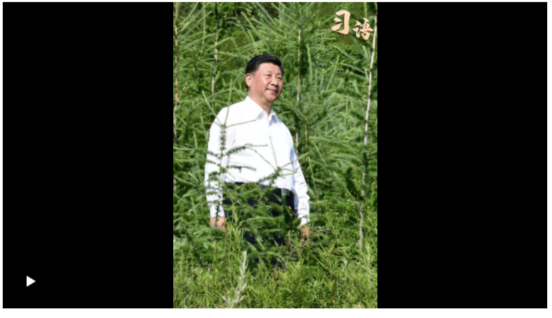 習語｜“人不負青山，青山定不負人”