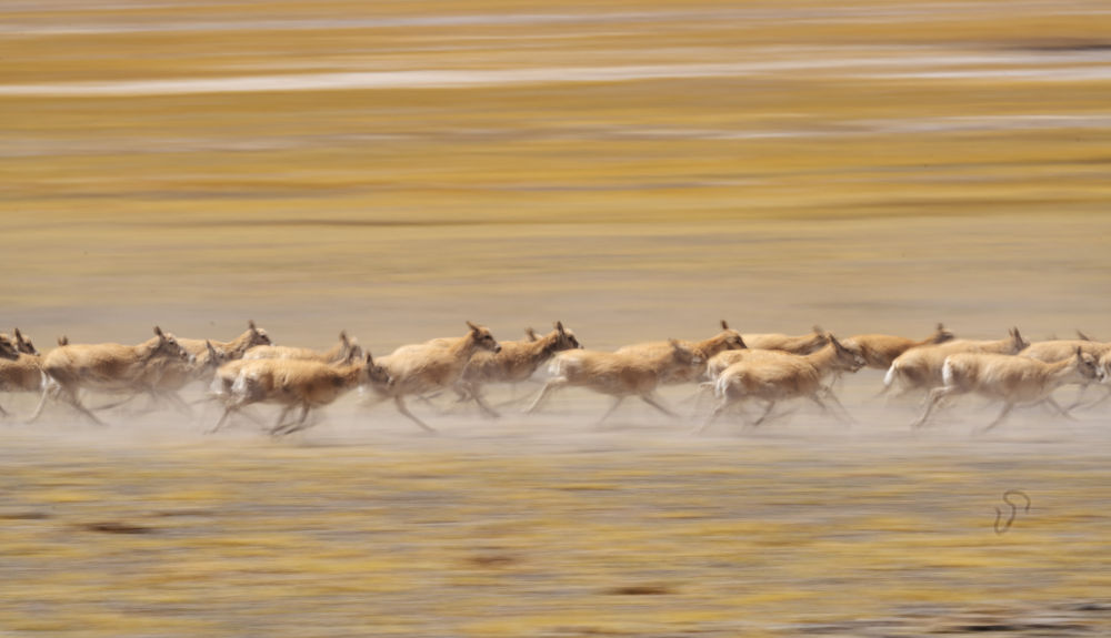 國際縱橫談｜“兩山論”是中國的，也是世界的