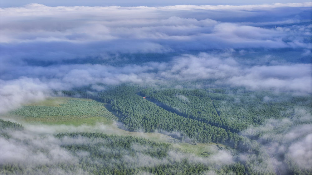 國際縱橫談｜“兩山論”是中國的，也是世界的