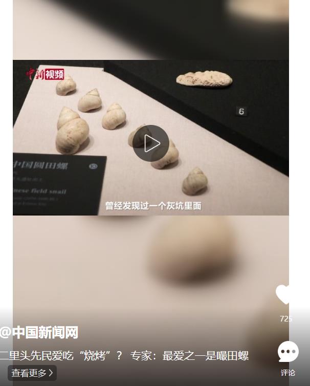 二里頭先民愛(ài)吃“燒烤”？ 專家：最愛(ài)之一是嘬田螺 