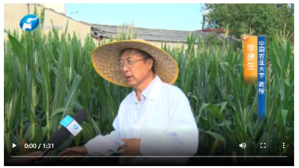 直擊現(xiàn)場！多位農(nóng)業(yè)專家實(shí)地調(diào)查玉米“空稈、超短裙”現(xiàn)象