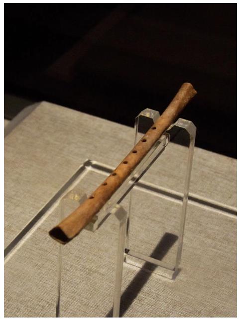 8000年前“富足”的賈湖先民，創(chuàng)造了11項(xiàng)“世界之最”丨何以中國(guó) 行走河南