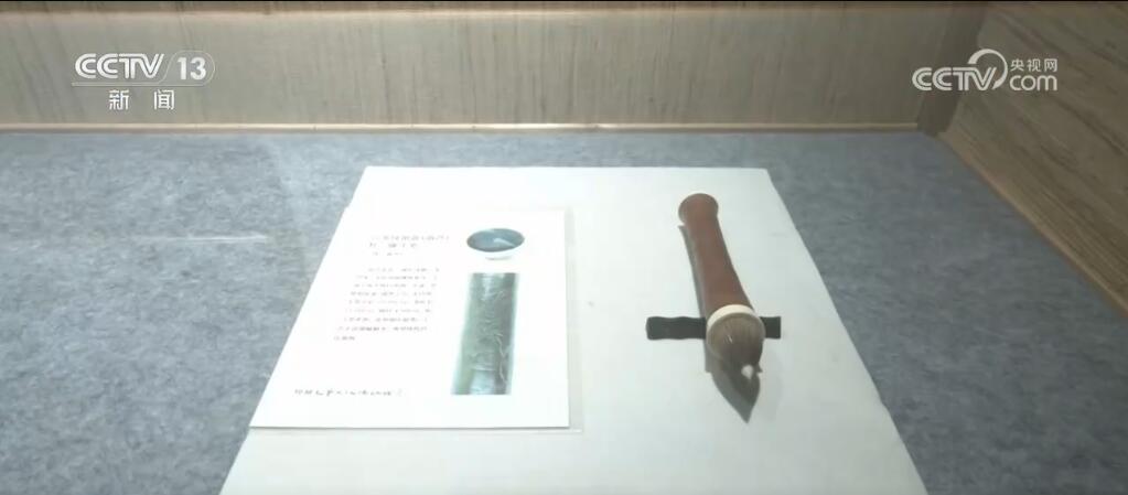 走進(jìn)博物館、走入鄉(xiāng)村田野……暑期研學(xué)游熱度不減 各地文旅活動(dòng)精彩不斷