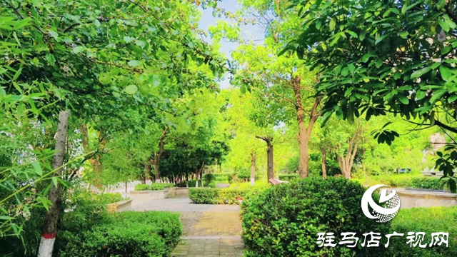 泌陽(yáng)縣金色港灣花園初秋綻放別樣色彩