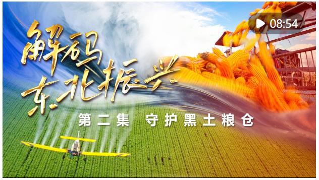 六集政論片《解碼東北振興》第二集：守護(hù)黑土糧倉