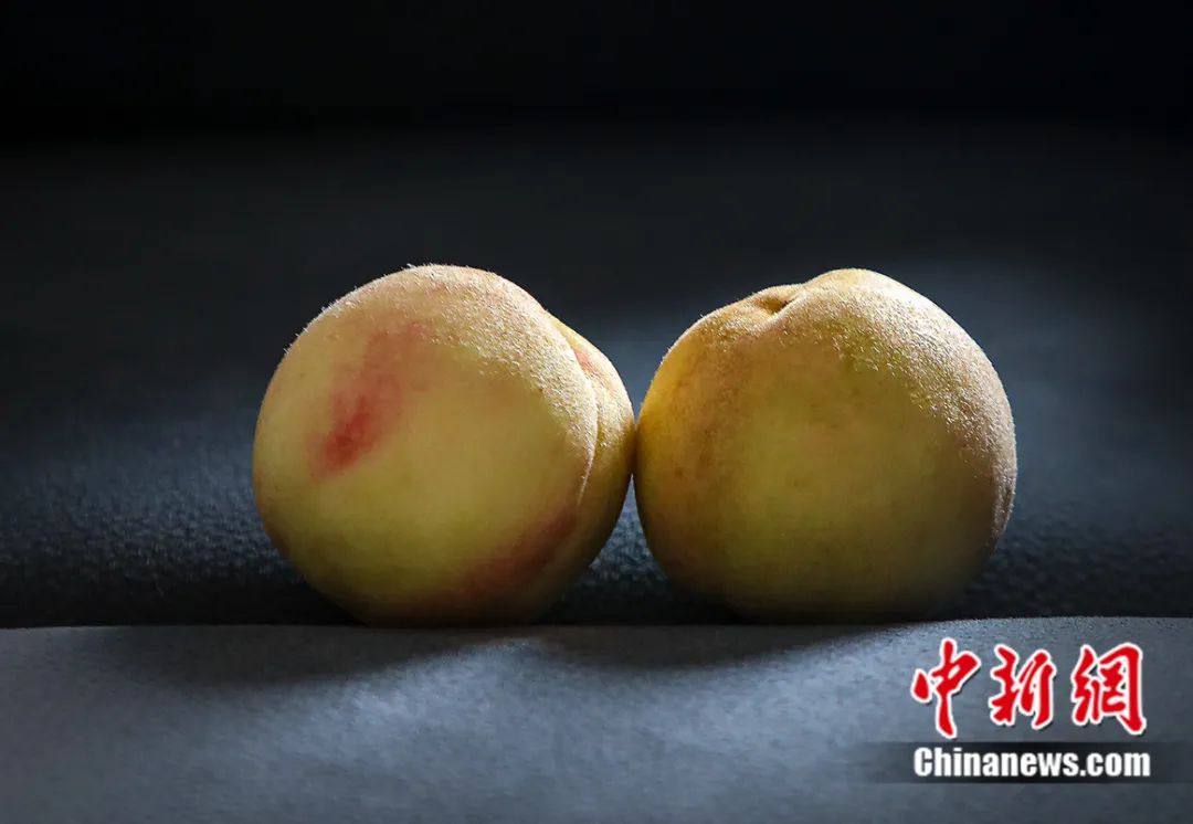 每顆40元，直送迪拜！悟空和土豪最愛，產(chǎn)自這里！