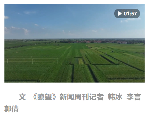 瞭望·治國(guó)理政紀(jì)事｜共筑高水平中非命運(yùn)共同體