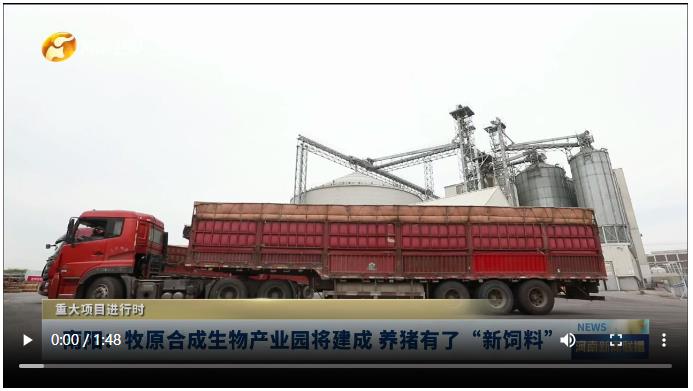 南陽：牧原合成生物產(chǎn)業(yè)園將建成 養(yǎng)豬有了“新飼料”丨重大項(xiàng)目進(jìn)行時(shí)
