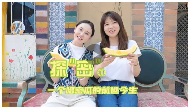 探“密”①丨一個哈密瓜的前世今生