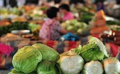 菜價(jià)波動(dòng)，保供與增收如何兩全？