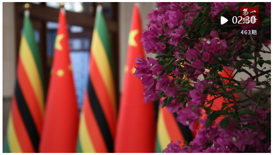 第一觀察·現(xiàn)場｜密集會(huì)晤中，習(xí)主席同非洲朋友談到這些關(guān)鍵詞