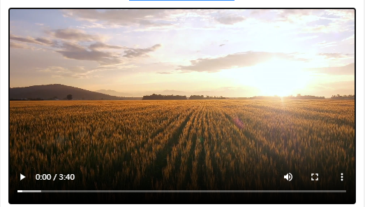 央媒觀豫丨河南，為什么“中”？