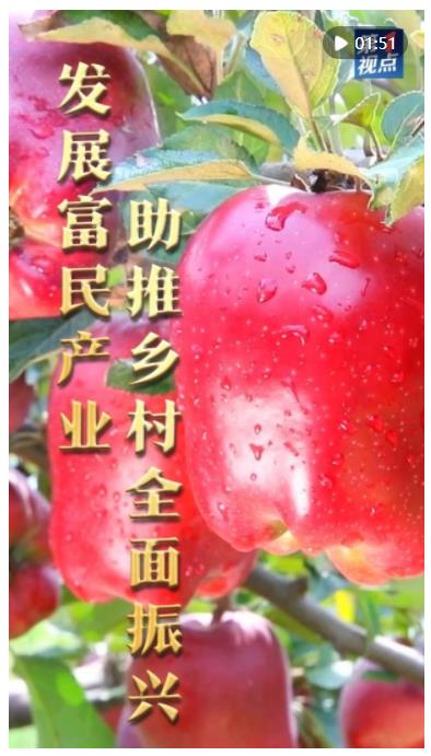 第1視點(diǎn)｜發(fā)展富民產(chǎn)業(yè) 助推鄉(xiāng)村全面振興