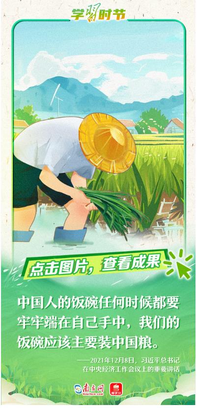 學(xué)習(xí)時節(jié)｜禮贊豐收，書寫“三農(nóng)”壯麗篇章
