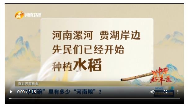 “中國碗”里有多少“河南糧”？|數(shù)說河南糧食