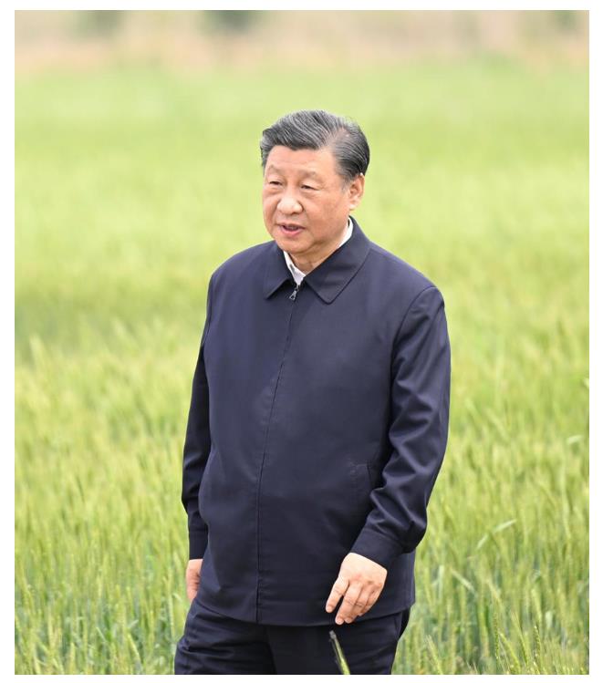 學(xué)習(xí)進(jìn)行時(shí)丨“讓農(nóng)民腰包越來(lái)越鼓、生活越來(lái)越美好”——習(xí)近平總書(shū)記走進(jìn)田間地頭話“三農(nóng)”