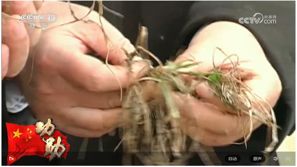 中華人民共和國國家勛章和國家榮譽(yù)稱號頒授儀式