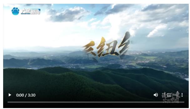 清澈的愛 只為中國丨情系紐結