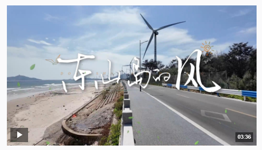 時政微調查丨東山島的風