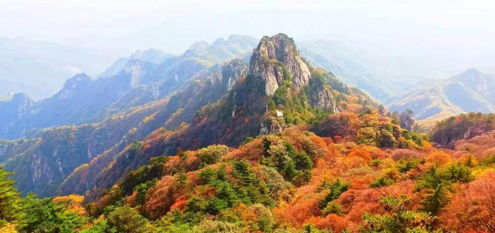 河南紅葉進(jìn)入最佳觀賞期！這10個(gè)景點(diǎn)，周末推薦帶娃去！