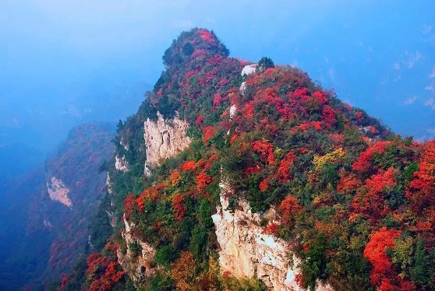 河南紅葉進(jìn)入最佳觀賞期！這10個(gè)景點(diǎn)，周末推薦帶娃去！