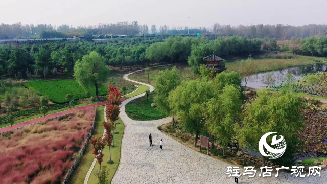 泌陽漢風(fēng)公園，秋日里的粉色夢境