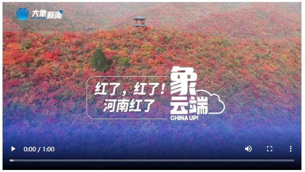 紅了，紅了！河南紅了|象云端