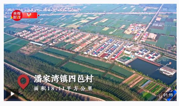 習(xí)近平湖北行丨蔬菜長廊向振興——走進(jìn)嘉魚縣潘家灣鎮(zhèn)四邑村